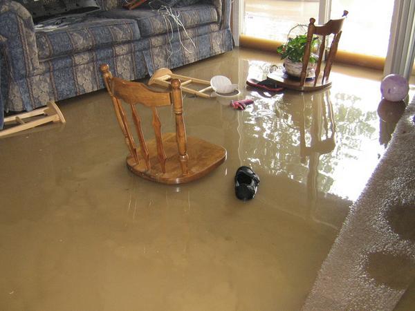 How Water Damage Can Affect Your Home Insurance